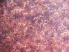 Tessuto americano ideale per patchwork, quilt e cucito creativo, realizzato in cotone 100% in altezza di cm 110.