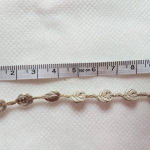 Passamaeria "nodini".